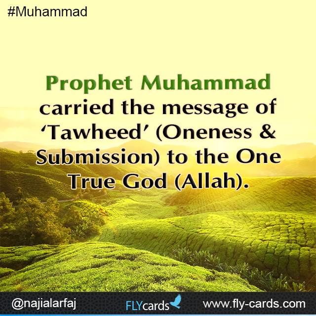 Prophet Muhammad carried the message of ‘Tawheed’ (Oneness & Submission) to the One True God (Allah).